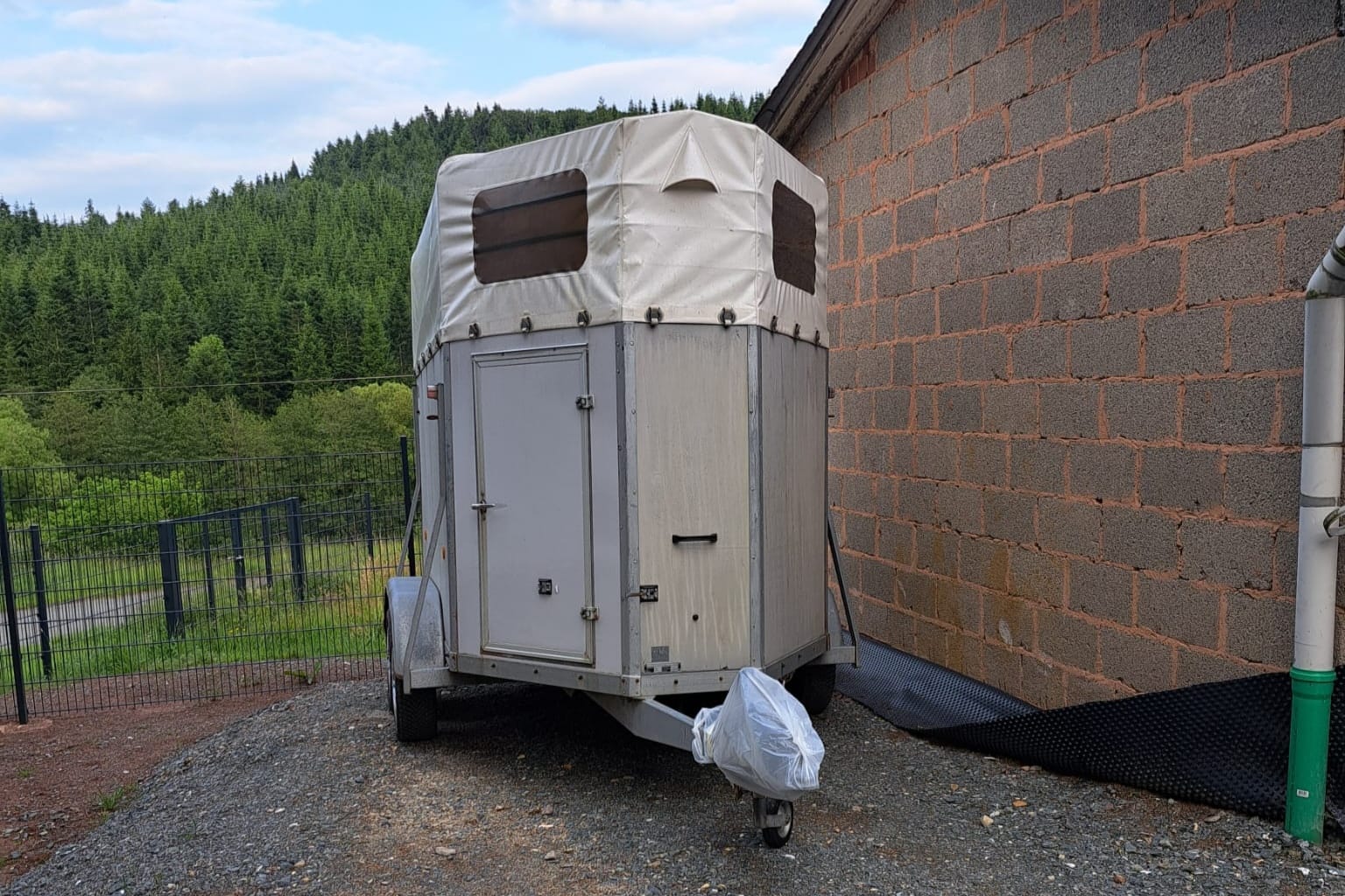 Tiertransporter